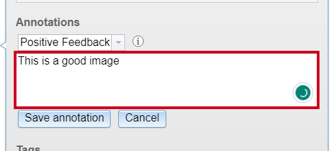 Add Description to annotation.png