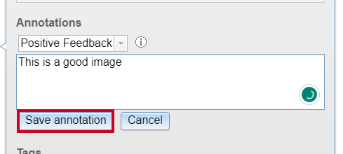 Click Save Annotation.png