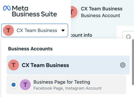 meta business dropdown example.png
